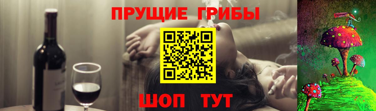 как найти закладки  Вход с VPN  Избербаш  Галлюциногенные грибы Magic Shrooms  Галлюциногенные грибы Magic Shrooms 